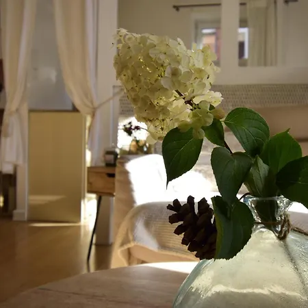 Style & Center Spot *