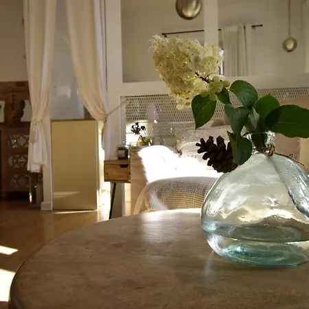 Style & Center Spot Apartment Posen